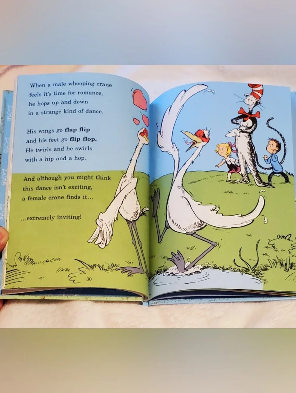 Dr. Seuss Light Blue 'Fine Feathered Friends: All About Birds' Hard Cover Book.